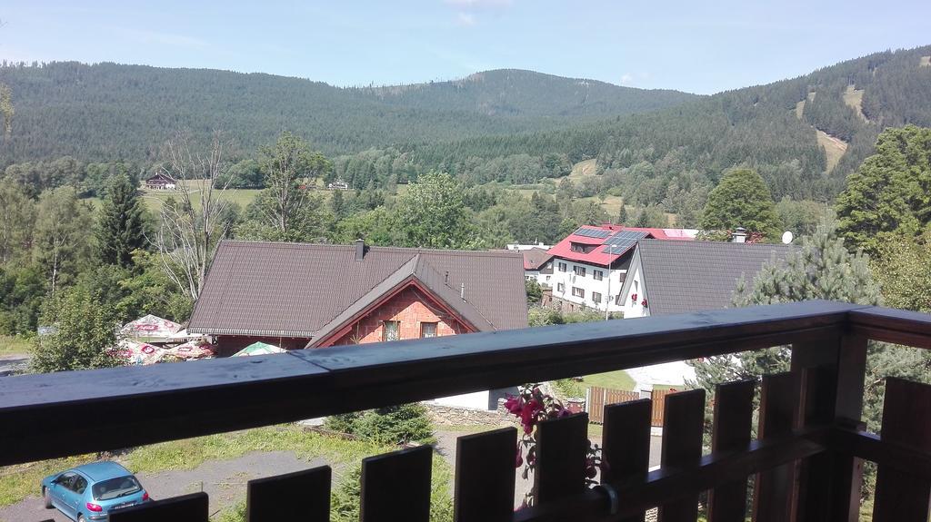 Ubytovani Greiner Hotel Zelezna Ruda Exterior photo